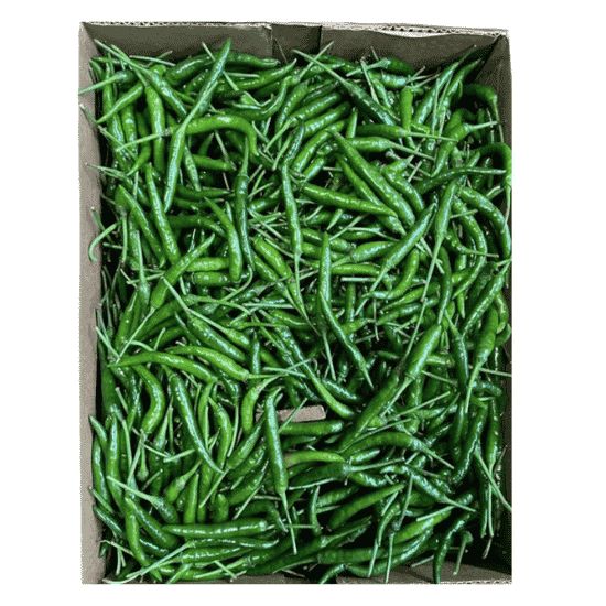 CHILLI FRESH 5KG
